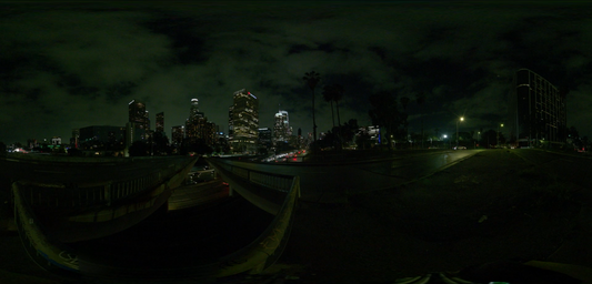 DTLA 007